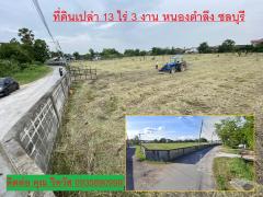 ขายที่ดินเปล่า ทำเลดี  ตำบลหนองตำลึง  อำเภอพานทอง จังหวัดชลบุรี 