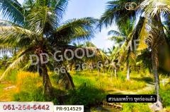 PR-914529 ที่ดินลาดใหญ่ 5 ไร่ 23 ตร.ว. สมุทรสงคราม ใกล้วัดลาดเป้ง-202507141530501752481850029.jpg