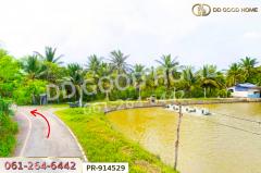 PR-914529 ที่ดินลาดใหญ่ 5 ไร่ 23 ตร.ว. สมุทรสงคราม ใกล้วัดลาดเป้ง-202507141530521752481852331.jpg