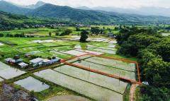 ขายที่ดิน ปัว น่าน 707 ตร.ว. ราคา 1.9 ล้าน-202507141553071752483187376.jpg