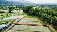 ขายที่ดิน ปัว น่าน 707 ตร.ว. ราคา 1.9 ล้าน-202507141553081752483188733.jpg