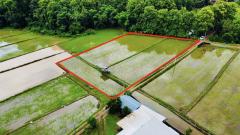 ขายที่ดิน ปัว น่าน 707 ตร.ว. ราคา 1.9 ล้าน-202507141553091752483189373.jpg