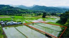ขายที่ดิน ปัว น่าน 707 ตร.ว. ราคา 1.9 ล้าน-202507141553101752483190524.jpg