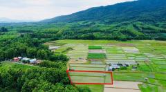 ขายที่ดิน ปัว น่าน 707 ตร.ว. ราคา 1.9 ล้าน-202507141553111752483191034.jpg
