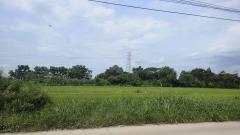 ขายถูกมาก ที่ดินเปล่าสวย ๆ ติดถนน ซอยราซ.ราษฎร์อุทิศ46-202507141640331752486033327.jpg