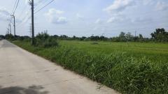 ขายถูกมาก ที่ดินเปล่าสวย ๆ ติดถนน ซอยราซ.ราษฎร์อุทิศ46-202507141640431752486043897.jpg