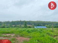 ขายที่ดิน เนื้อที่ 2 ไร่ 3 งาน 24.4 ตร.วา ไชยสถาน น่าน-202507150931431752546703955.jpg