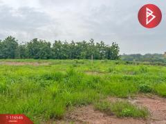 ขายที่ดิน เนื้อที่ 2 ไร่ 3 งาน 24.4 ตร.วา ไชยสถาน น่าน-202507150931461752546706497.jpg