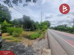 ขายบ้านเดี่ยว เนื้อที่ 1 ไร่ 3 งาน 50 ตร.วา หนองจอก กรุงเทพมหานคร-202507150954131752548053273.jpg