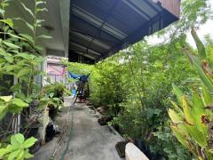 ขาย บ้านเดี่ยว หมู่บ้านศานติ 200 ตรม 87 ตรว 2นอน 3น้ำ ใกล้เซ็นทรัลบางนา-202507151039231752550763370.jpg