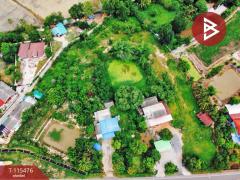 ขายที่ดิน เนื้อที่ 1 ไร่ 2 งาน 59.4 ตร.วา ต.ดงขวาง อ.หนองขาหย่าง จ.อุทัยธานี ติดถนน-202507151108211752552501620.jpg