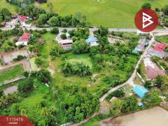 ขายที่ดิน เนื้อที่ 1 ไร่ 2 งาน 59.4 ตร.วา ต.ดงขวาง อ.หนองขาหย่าง จ.อุทัยธานี ติดถนน-202507151108221752552502156.jpg