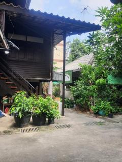 ขายที่ดินพร้อมสิ่งปลูกสร้าง 236 ตรว ทำเลดีในคูเมือง เชียงใหม่-202507151126401752553600227.jpg