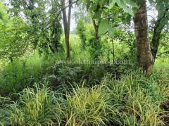 ที่ดิน ต.นาวังหิน อ.พนัสนิคม จ.ชลบุรี-202507151132361752553956101.jpg