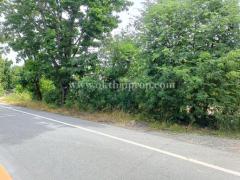 ที่ดิน ต.นาวังหิน อ.พนัสนิคม จ.ชลบุรี-202507151132551752553975032.jpg