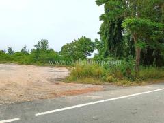ที่ดินติดถนน ต.นาวังหิน อ.พนัสนิคม จ.ชลบุรี