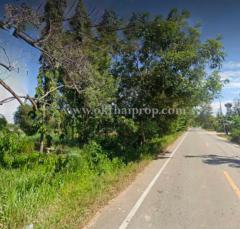 ที่ดินติดถนน ต.นาวังหิน อ.พนัสนิคม จ.ชลบุรี-202507151136511752554211431.jpg