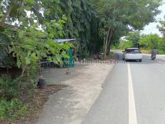 ที่ดินติดถนน ต.นาวังหิน อ.พนัสนิคม จ.ชลบุรี-202507151136591752554219613.jpg