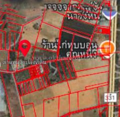 ที่ดินติดถนน ต.นาวังหิน อ.พนัสนิคม จ.ชลบุรี-202507151137221752554242200.jpg