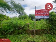 ขายที่ดิน เนื้อที่ 6 ไร่ 1 งาน 28.5 ตร.วา เกาะขวาง จันทบุรี-202507151212211752556341250.jpg