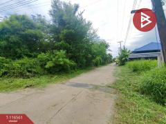 ขายที่ดิน เนื้อที่ 6 ไร่ 1 งาน 28.5 ตร.วา เกาะขวาง จันทบุรี-202507151212221752556342877.jpg