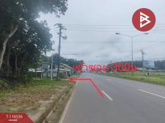 ขายที่ดิน เนื้อที่ 3 งาน 71.2 ตร.วา ท่าช้าง จันทบุรี-202507151222421752556962520.jpg