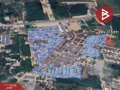 ขายที่ดิน เนื้อที่ 3 งาน 71.2 ตร.วา ท่าช้าง จันทบุรี-202507151222461752556966948.jpg