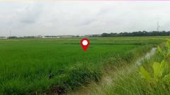 หายาก! ที่ดินแปลงใหญ่ 3-3-39.4 ไร่ ลำลูกกา คลอง6 หน้ากว้างพิเศษ ใกล้ถนน4เลน ราคาน่าลงทุน!-202507151314011752560041121.jpg