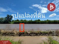 ขายที่ดิน-เนื้อที่-1-ไร่-หนองเสือ-ปทุ