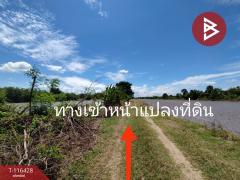 ขายที่ดิน เนื้อที่ 1 ไร่ หนองเสือ ปทุมธานี-202507151340421752561642773.jpg