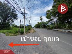 ขายที่ดิน เนื้อที่ 1 ไร่ หนองเสือ ปทุมธานี-202507151340431752561643309.jpg