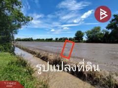 ขายที่ดิน-เนื้อที่-1-ไร่-หนองเสือ-ปทุ