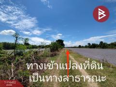ขายที่ดิน เนื้อที่ 1 ไร่ หนองเสือ ปทุมธานี-202507151418531752563933009.jpg