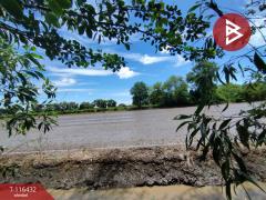 ขายที่ดิน เนื้อที่ 1 ไร่ หนองเสือ ปทุมธานี-202507151418541752563934157.jpg