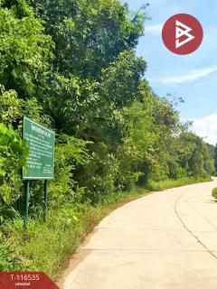 ขายที่ดิน เนื้อที่ 10 ไร่ 1 งาน 87 ตร.วา ปากน้ำ ชุมพร-202507151433241752564804968.jpg