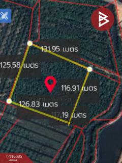 ขายที่ดิน เนื้อที่ 10 ไร่ 1 งาน 87 ตร.วา ปากน้ำ ชุมพร-202507151433291752564809787.jpg