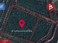 ขายที่ดิน เนื้อที่ 10 ไร่ 1 งาน 87 ตร.วา ปากน้ำ ชุมพร-202507151433301752564810318.jpg