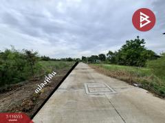 ขายที่ดิน เนื้อที่ 2 ไร่ บางเสาธง สมุทรปราการ-202507151443161752565396543.jpg