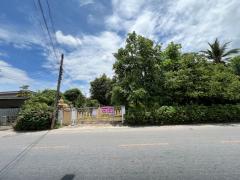 ขายที่ดิน-2-ไร่-ใจกลางนครปฐม-เหมาะซื