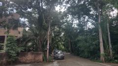 ขายบ้านเดี่ยว 2 ชั้น หมู่บ้านกรีนิชชาเลต์ ถนนบรมราชชนนี เขตทวีวัฒนา จังหวัดกรุงเทพมหานคร -202507151500361752566436994.jpg