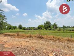ขายที่ดิน-เนื้อที่-1-งาน-49-ตร.วา-วังกระ