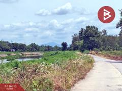 ขายที่ดิน เนื้อที่ 1 งาน 49 ตร.วา วังกระโจม นครนายก-202507151507281752566848574.jpg
