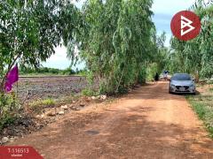 ขายที่ดิน เนื้อที่ 1 งาน 49 ตร.วา วังกระโจม นครนายก-202507151507291752566849117.jpg