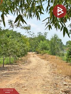 ขายที่ดิน เนื้อที่ 1 งาน 49 ตร.วา วังกระโจม นครนายก-202507151507291752566849665.jpg