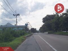 ขายที่ดินเปล่า เนื้อที่ 82.3 ตร.วา ท่างิ้ว นครศรีธรรมราช-202507151517141752567434140.jpg