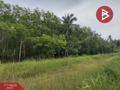 ขายที่ดิน เนื้อที่ 6 ไร่ 3 งาน 50 ตร.วา บางสะพาน ประจวบคีรีขันธ์-202507151618501752571130122.jpg