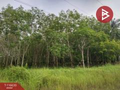 ขายที่ดิน เนื้อที่ 6 ไร่ 3 งาน 50 ตร.วา บางสะพาน ประจวบคีรีขันธ์-202507151618511752571131815.jpg