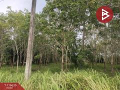 ขายที่ดิน เนื้อที่ 6 ไร่ 3 งาน 50 ตร.วา บางสะพาน ประจวบคีรีขันธ์-202507151618521752571132398.jpg