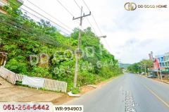 WR-783891 ที่ดินหาดใหญ่ 38 ไร่ 306.2 ตร.ว. สงขลา ใกล้มหาวิทยาลัยสงขลานครินทร์-202507151638281752572308902.jpg