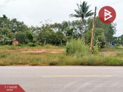 ขายที่ดิน เนื้อที่ 95.5 ตร.วา นายายอาม จันทบุรี-202507151639311752572371801.jpg